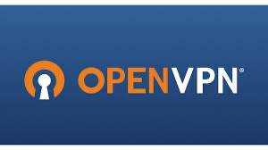 OpenVPN self-hosted VPN interface